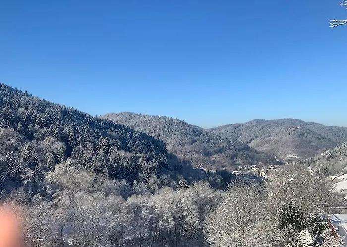 Schoene Moderne & Rustikale Einliegerwohnung Mit Kueche 아파트 *